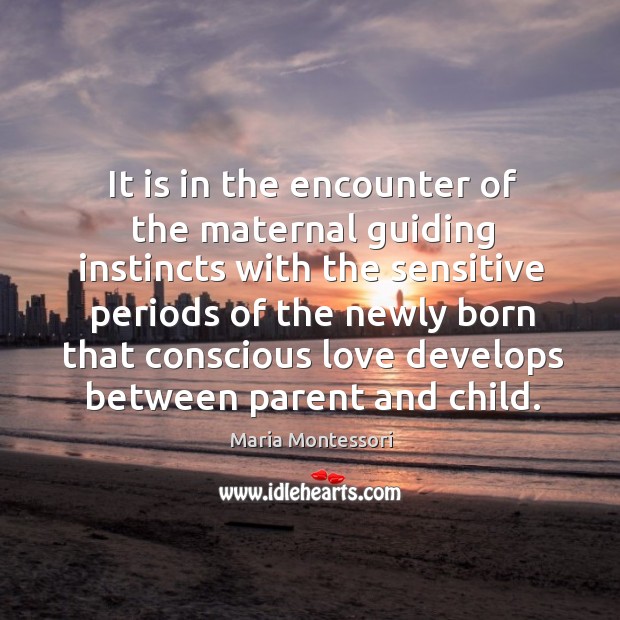 It is in the encounter of the maternal guiding instincts with the Maria Montessori Picture Quote