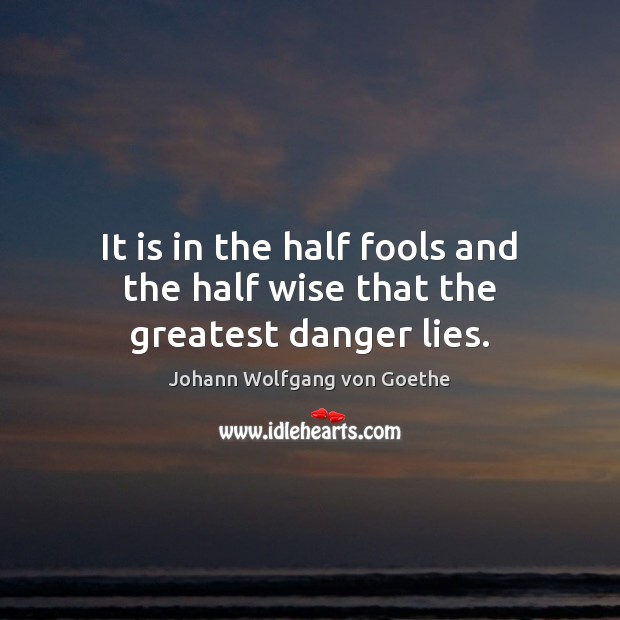 It is in the half fools and the half wise that the greatest danger lies. Johann Wolfgang von Goethe Picture Quote