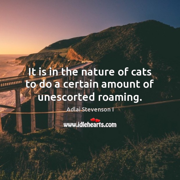 It is in the nature of cats to do a certain amount of unescorted roaming. Image