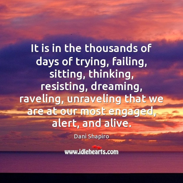 It is in the thousands of days of trying, failing, sitting, thinking, Dani Shapiro Picture Quote