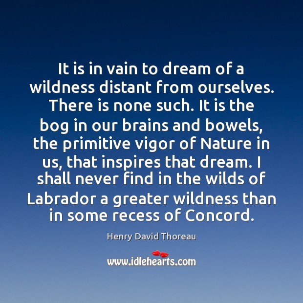 It is in vain to dream of a wildness distant from ourselves. Henry David Thoreau Picture Quote