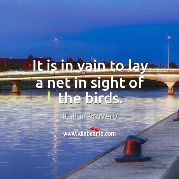 It is in vain to lay a net in sight of the birds. Image