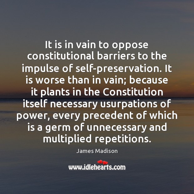 It is in vain to oppose constitutional barriers to the impulse of James Madison Picture Quote