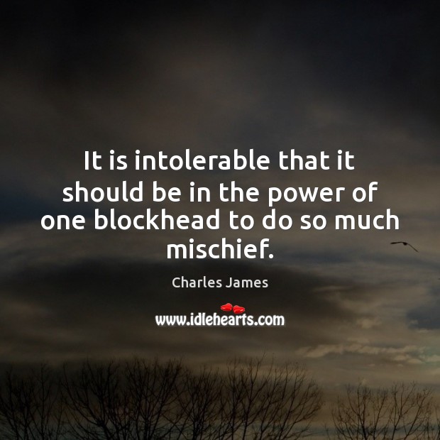 It is intolerable that it should be in the power of one blockhead to do so much mischief. Charles James Picture Quote
