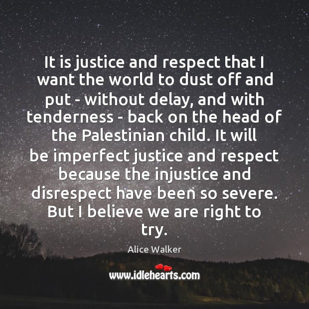 It is justice and respect that I want the world to dust Alice Walker Picture Quote