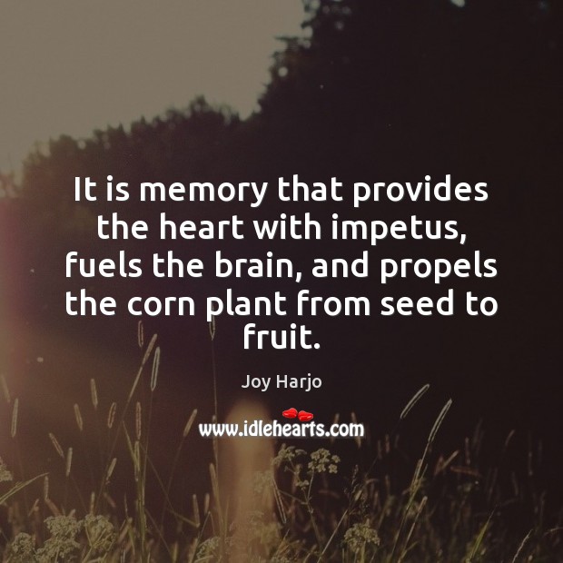It is memory that provides the heart with impetus, fuels the brain, Joy Harjo Picture Quote