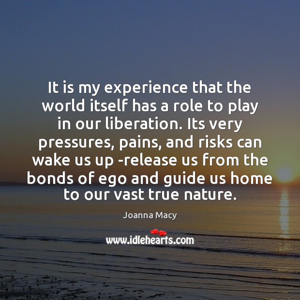 It is my experience that the world itself has a role to Joanna Macy Picture Quote