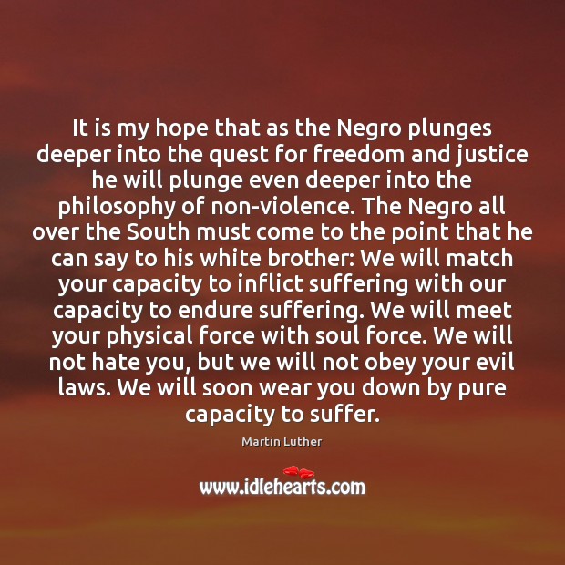 It is my hope that as the Negro plunges deeper into the Image