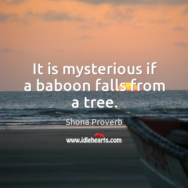 It is mysterious if a baboon falls from a tree. Shona Proverbs Image
