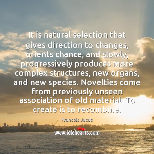 It is natural selection that gives direction to changes, orients chance, and Image