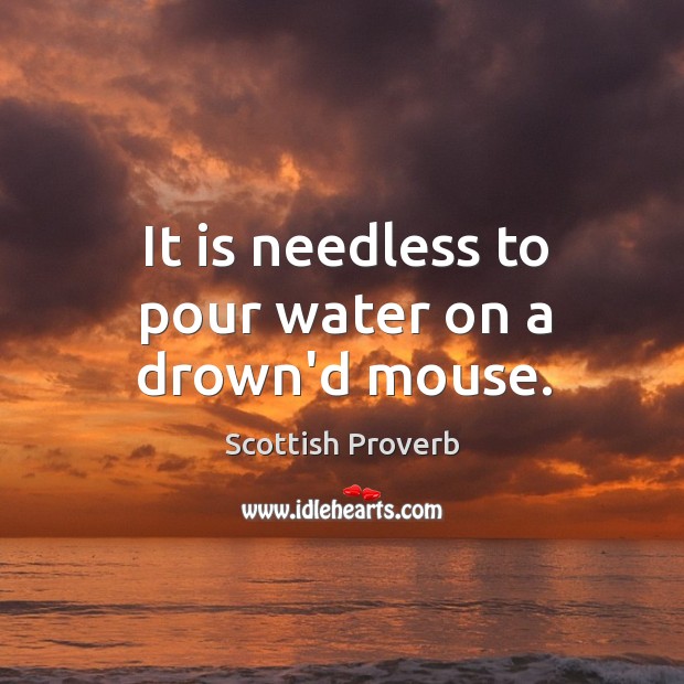 It is needless to pour water on a drown’d mouse. Scottish Proverbs Image