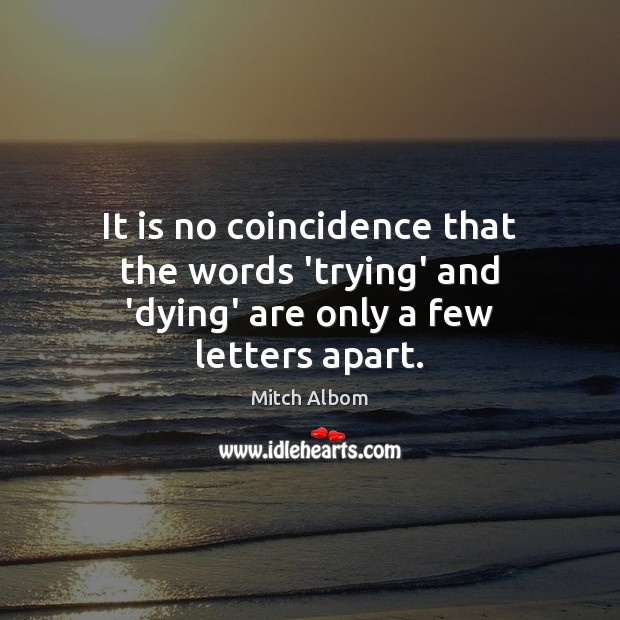 It is no coincidence that the words ‘trying’ and ‘dying’ are only a few letters apart. Mitch Albom Picture Quote