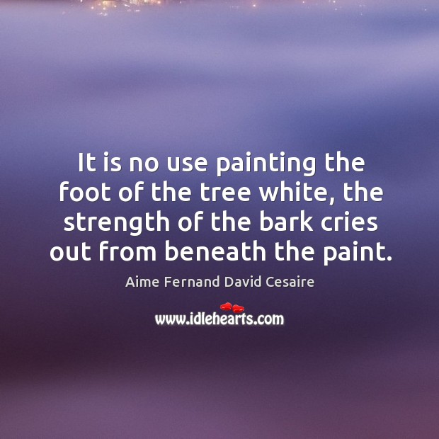 It is no use painting the foot of the tree white, the strength of the bark cries out from beneath the paint. Image