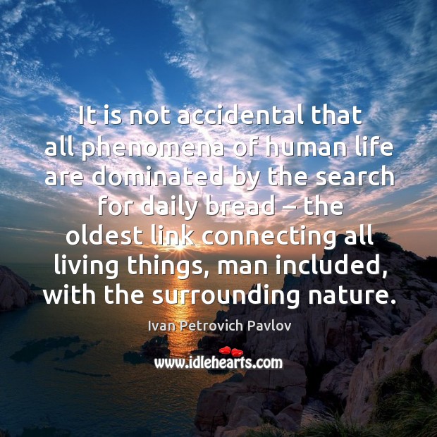 It is not accidental that all phenomena of human life are dominated by the search for daily bread Ivan Petrovich Pavlov Picture Quote