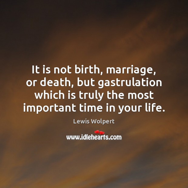 It is not birth, marriage, or death, but gastrulation which is truly Lewis Wolpert Picture Quote