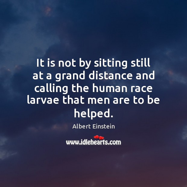 It is not by sitting still at a grand distance and calling Albert Einstein Picture Quote