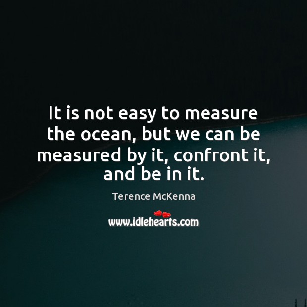 It is not easy to measure the ocean, but we can be Terence McKenna Picture Quote