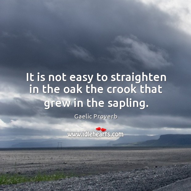 It is not easy to straighten in the oak the crook that grew in the sapling. Gaelic Proverbs Image