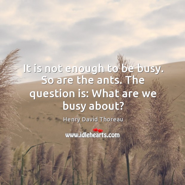 It is not enough to be busy. So are the ants. The question is: what are we busy about? Henry David Thoreau Picture Quote