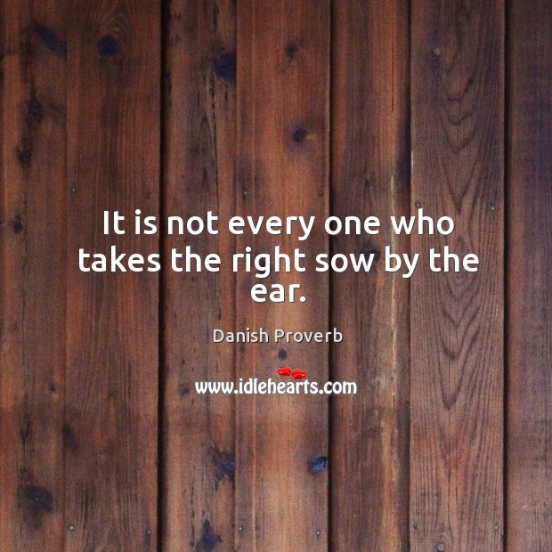 It is not every one who takes the right sow by the ear. Image