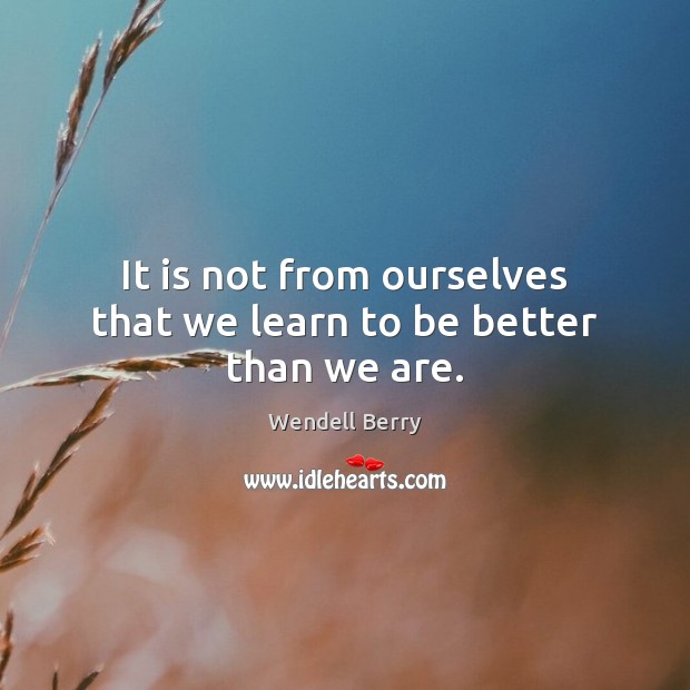 It is not from ourselves that we learn to be better than we are. Wendell Berry Picture Quote