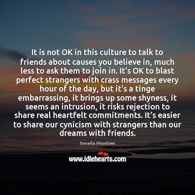 It is not OK in this culture to talk to friends about Image