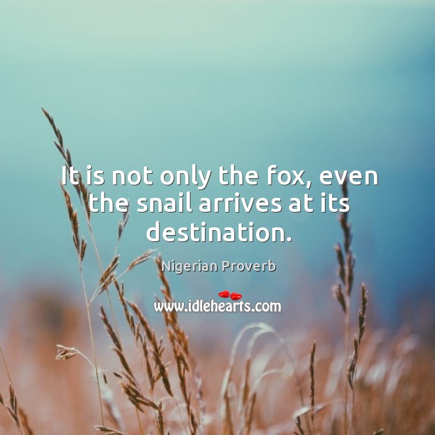 It is not only the fox, even the snail arrives at its destination. Nigerian Proverbs Image
