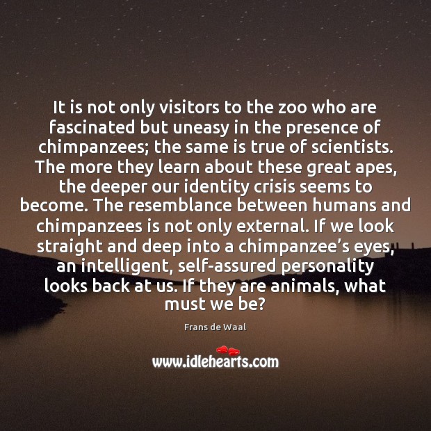 It is not only visitors to the zoo who are fascinated but Image