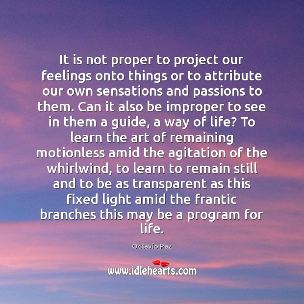 It is not proper to project our feelings onto things or to Image