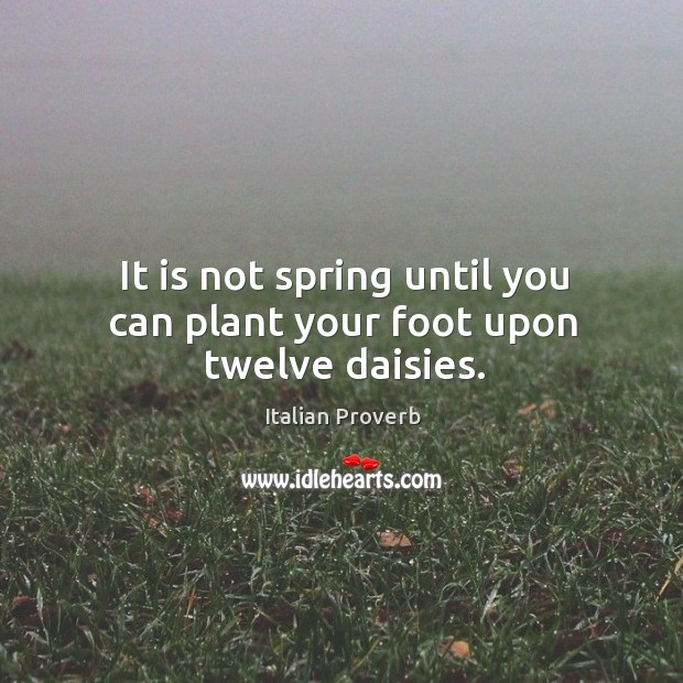 It is not spring until you can plant your foot upon twelve daisies. Image