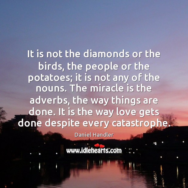 It is not the diamonds or the birds, the people or the Daniel Handler Picture Quote
