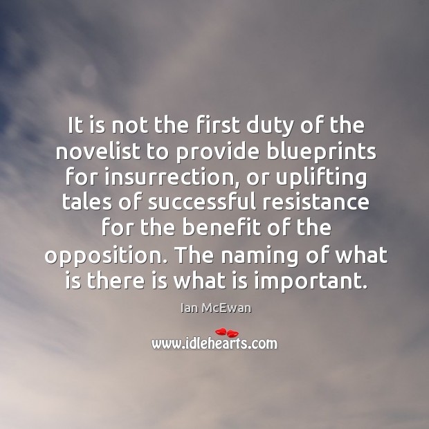 It is not the first duty of the novelist to provide blueprints for insurrection, or uplifting tales of Image