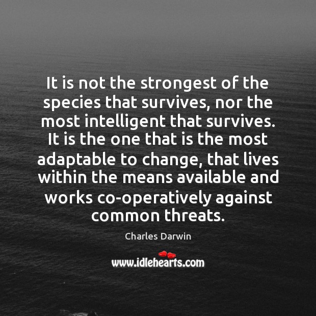It is not the strongest of the species that survives, nor the Charles Darwin Picture Quote