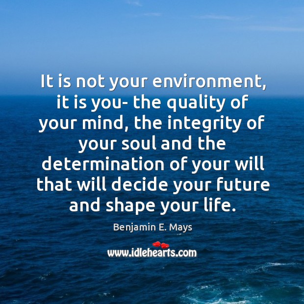 It is not your environment, it is you- the quality of your Benjamin E. Mays Picture Quote