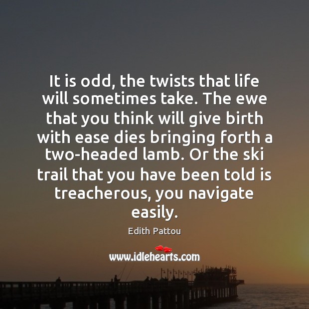 It is odd, the twists that life will sometimes take. The ewe Edith Pattou Picture Quote