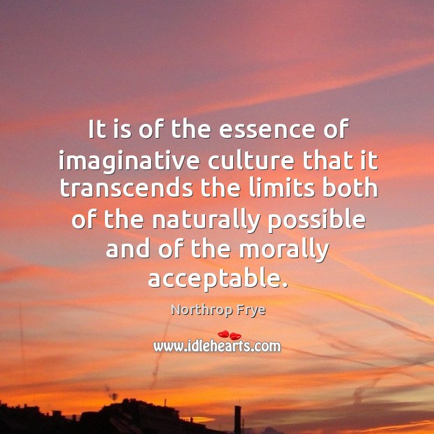 It is of the essence of imaginative culture that it transcends the limits Image