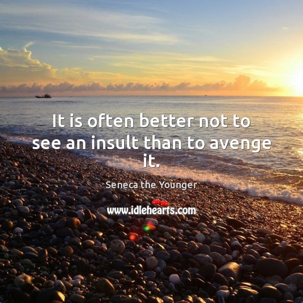 It is often better not to see an insult than to avenge it. Seneca the Younger Picture Quote