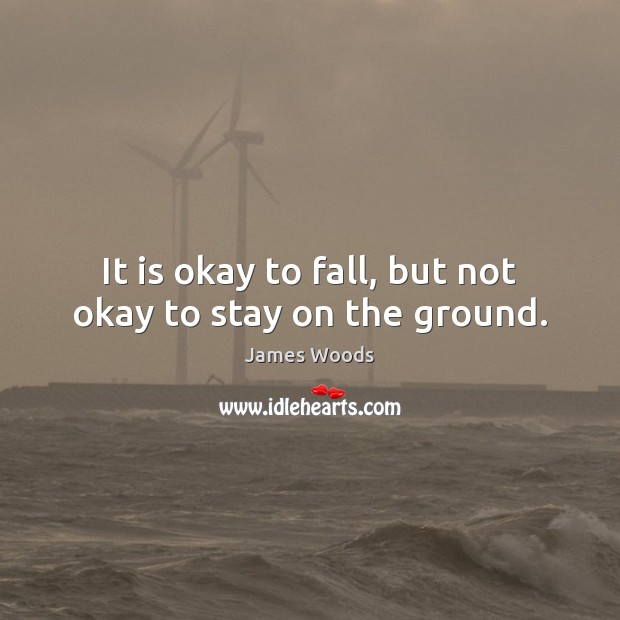 It is okay to fall, but not okay to stay on the ground. James Woods Picture Quote