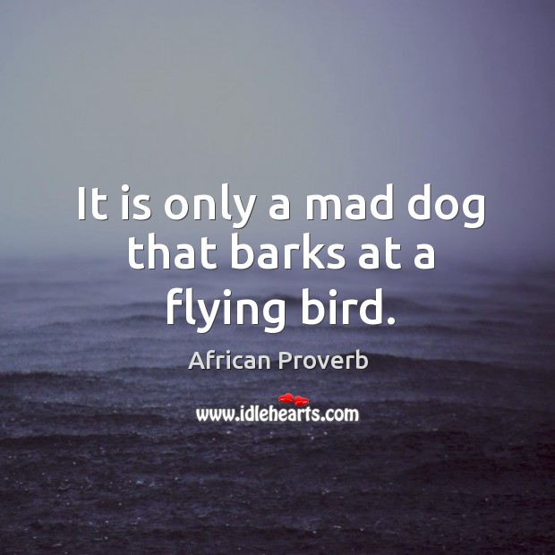It is only a mad dog that barks at a flying bird. Image