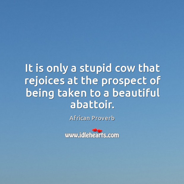 It is only a stupid cow that rejoices at the prospect of being Image