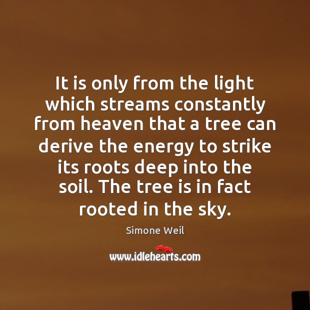 It is only from the light which streams constantly from heaven that Simone Weil Picture Quote