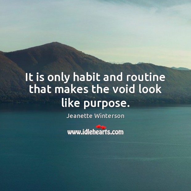It is only habit and routine that makes the void look like purpose. Image
