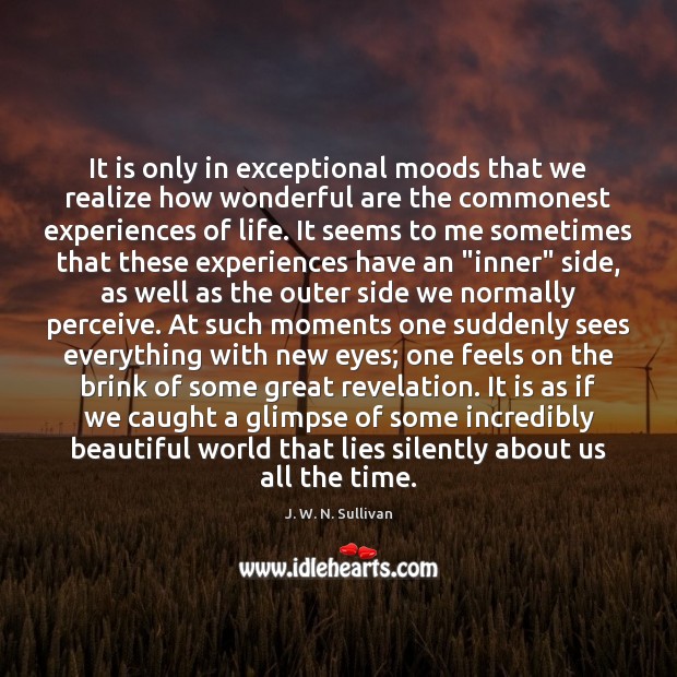 It is only in exceptional moods that we realize how wonderful are J. W. N. Sullivan Picture Quote