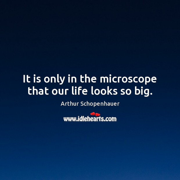 It is only in the microscope that our life looks so big. Arthur Schopenhauer Picture Quote