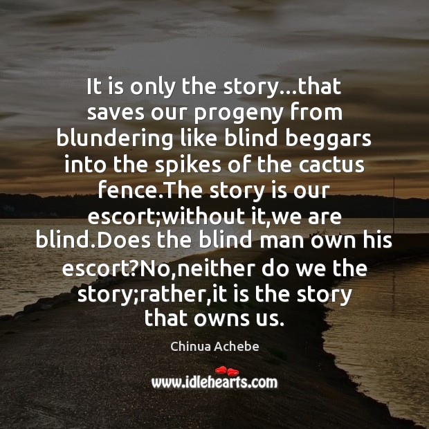 It is only the story…that saves our progeny from blundering like Image