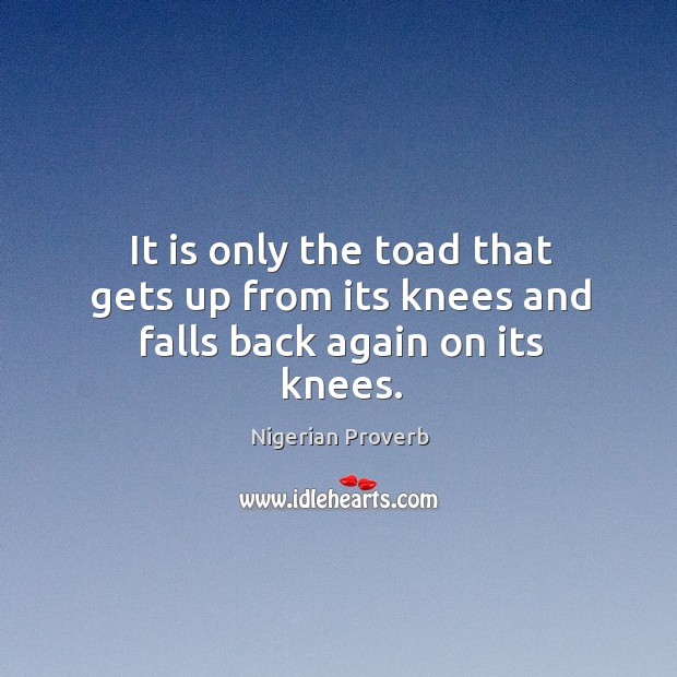 It is only the toad that gets up from its knees and falls back again on its knees. Nigerian Proverbs Image