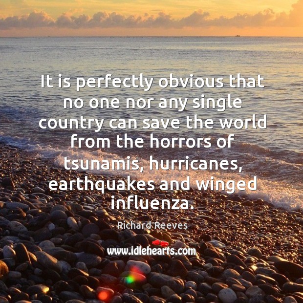 It is perfectly obvious that no one nor any single country can save the world from the horrors of tsunamis Richard Reeves Picture Quote