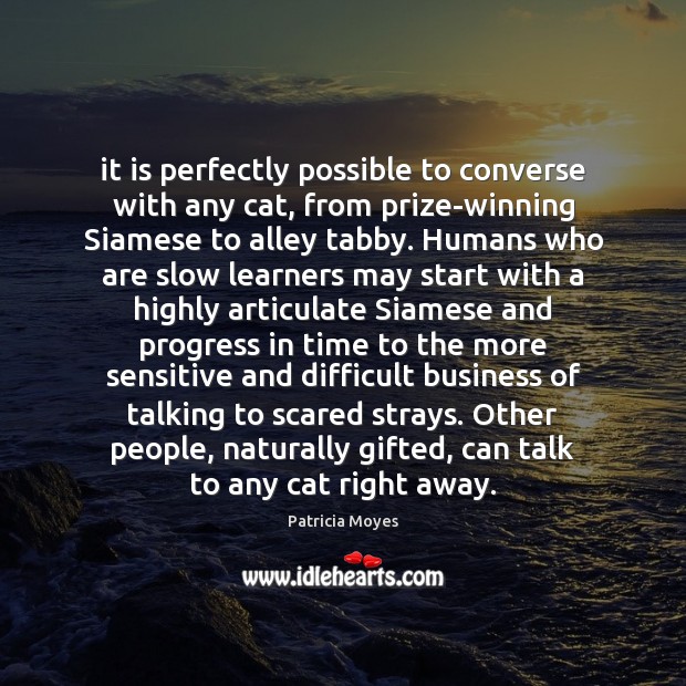 It is perfectly possible to converse with any cat, from prize-winning Siamese Patricia Moyes Picture Quote