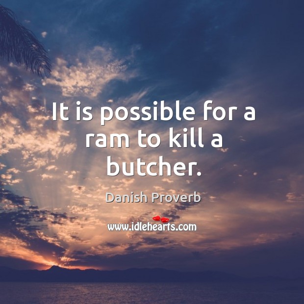 It is possible for a ram to kill a butcher. Danish Proverbs Image