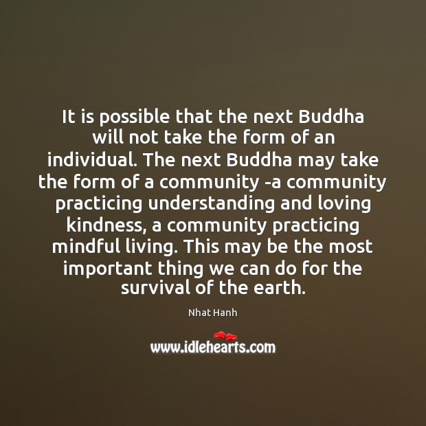 It is possible that the next Buddha will not take the form 